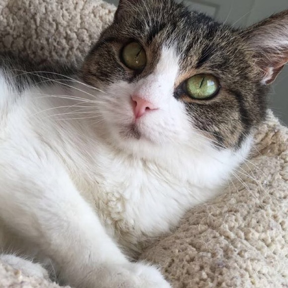 Meet your Posher, Hope - Picture 1 of 1